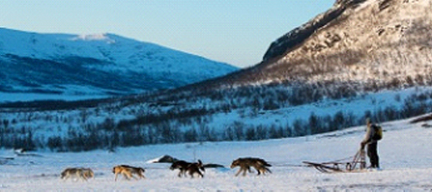 Hundspannstur Kiruna